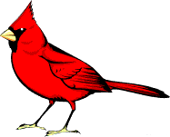 Cardinal2.BMP